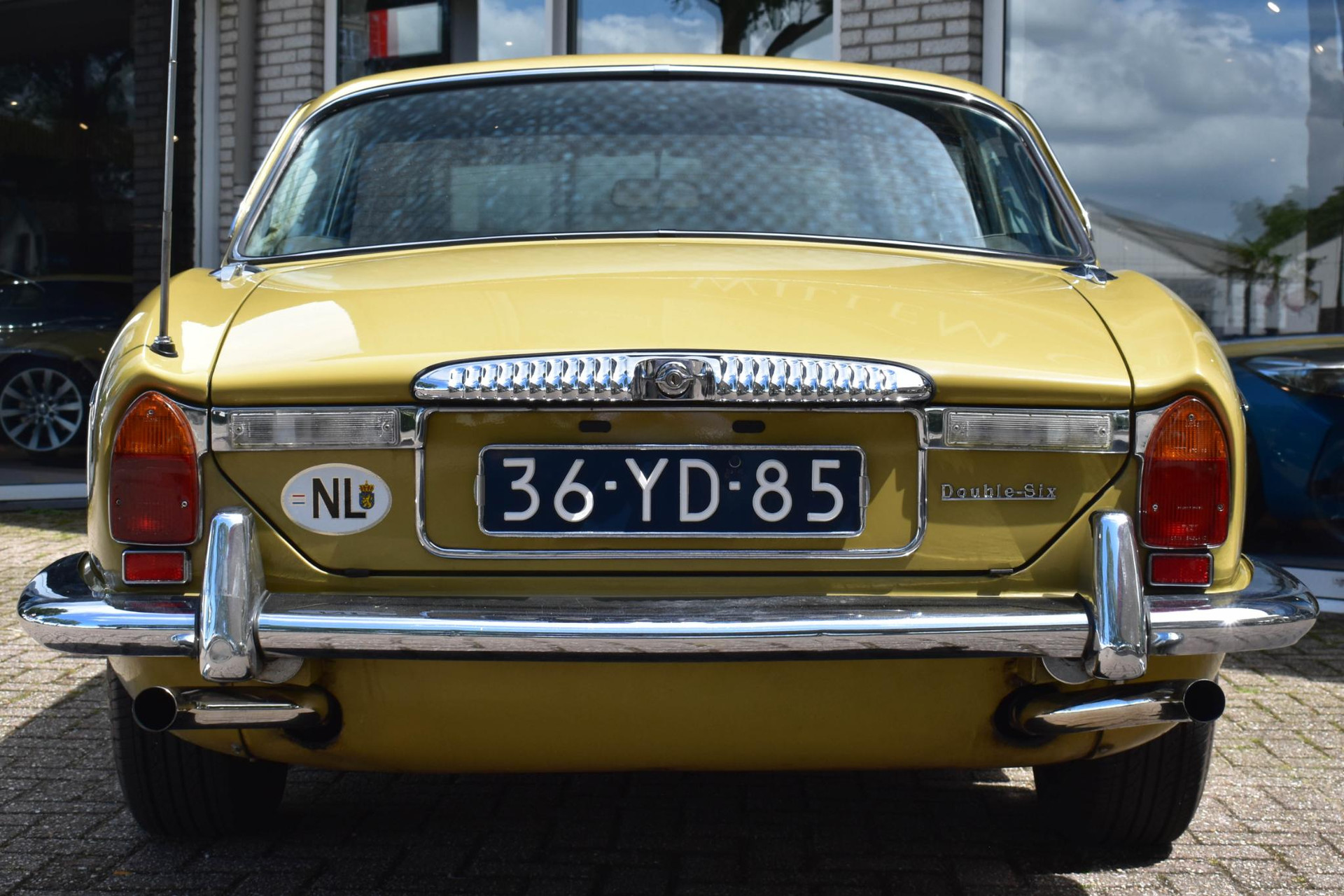 35743786-18.jpg