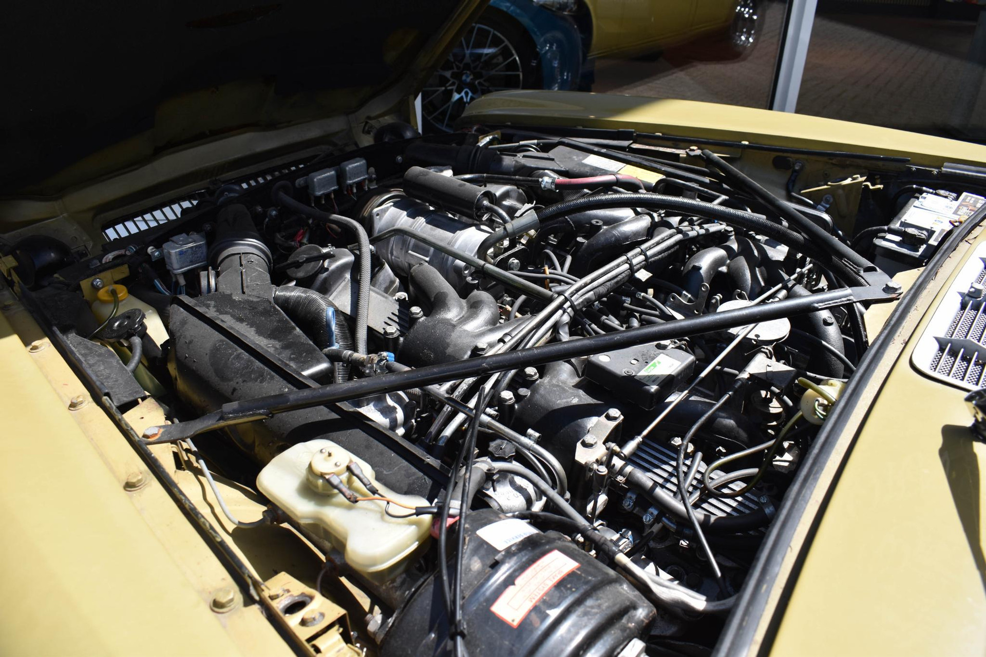 35743786-46.jpg