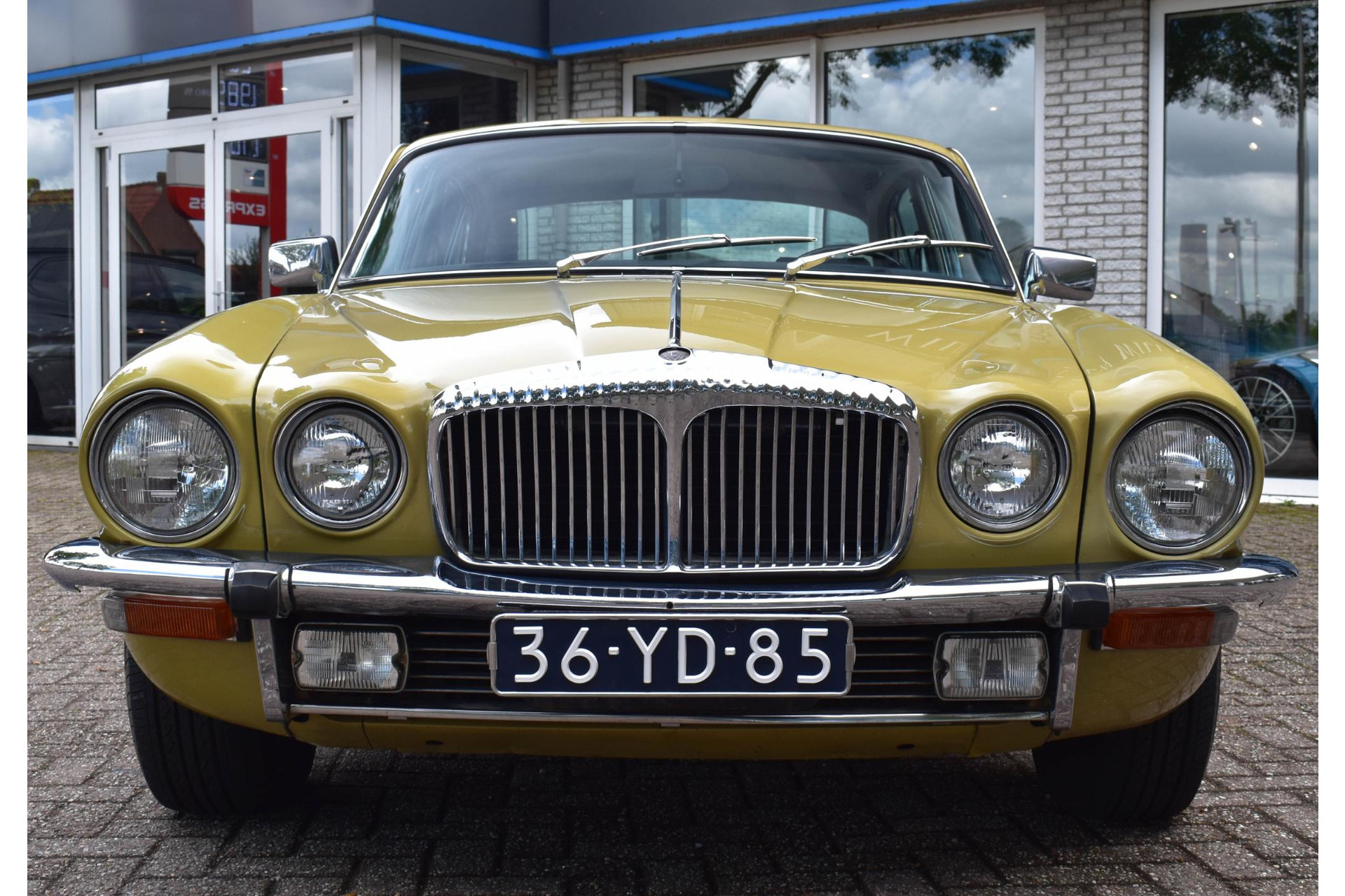 35743786-9.jpg