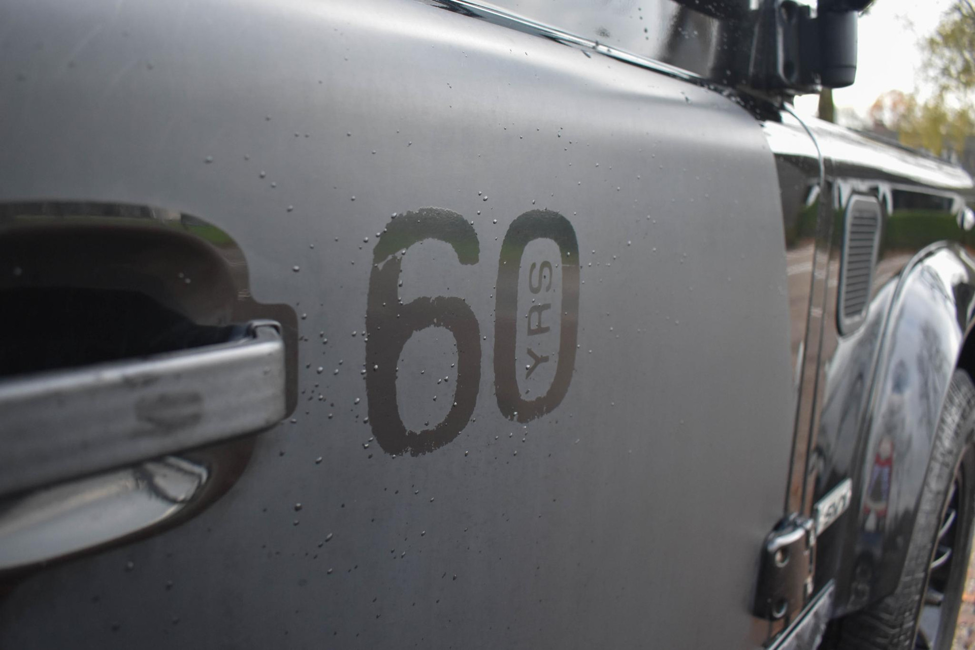 40997522-15.jpg