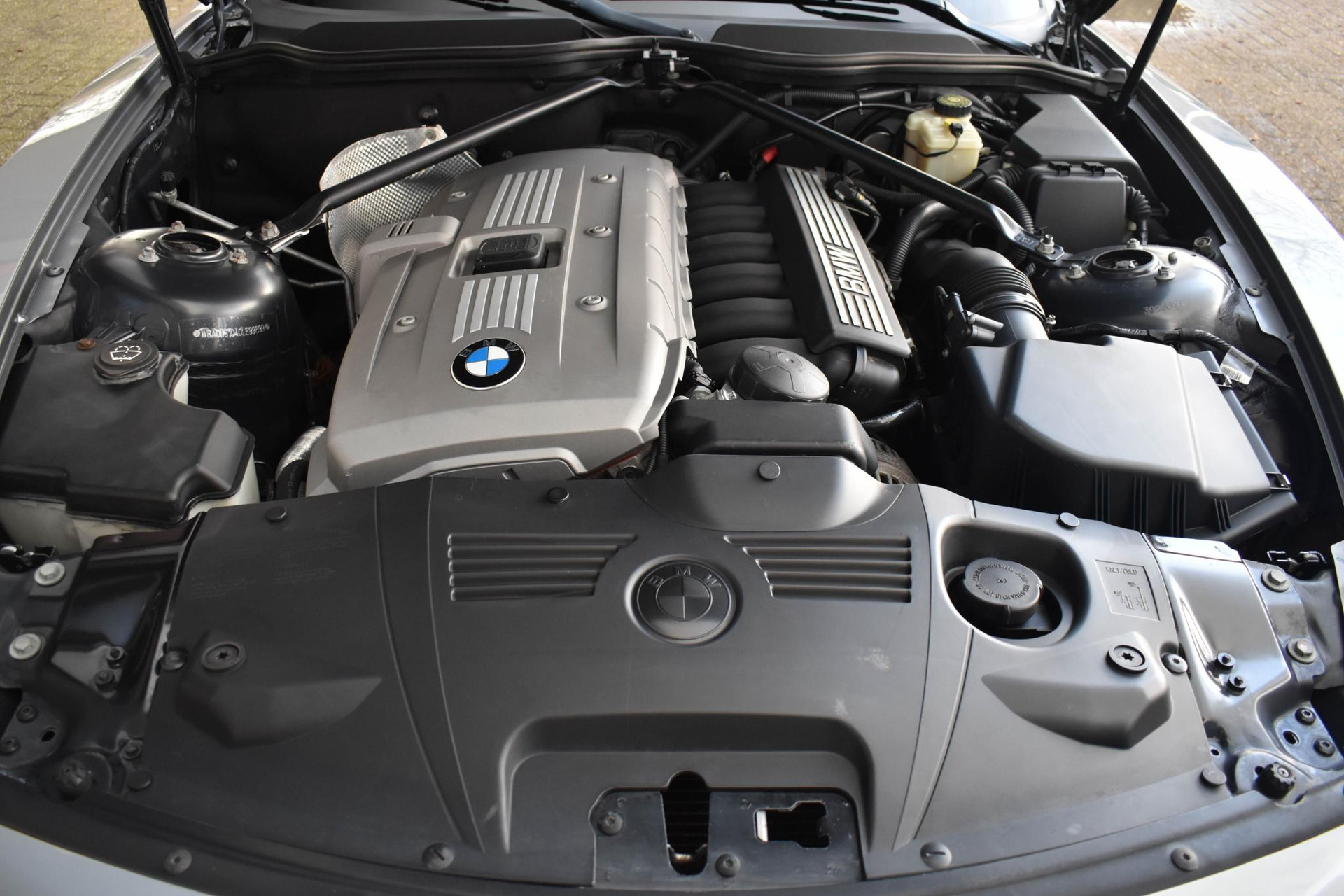 43480724-52.jpg