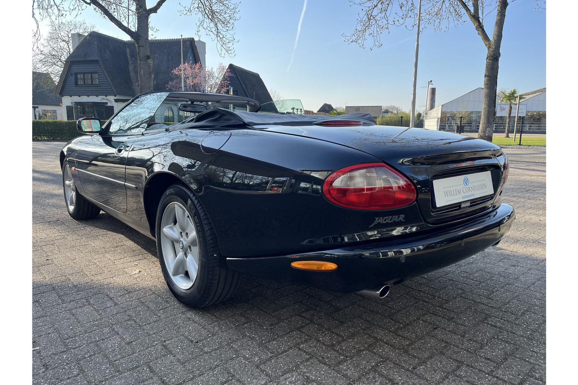 43822482-5.jpg