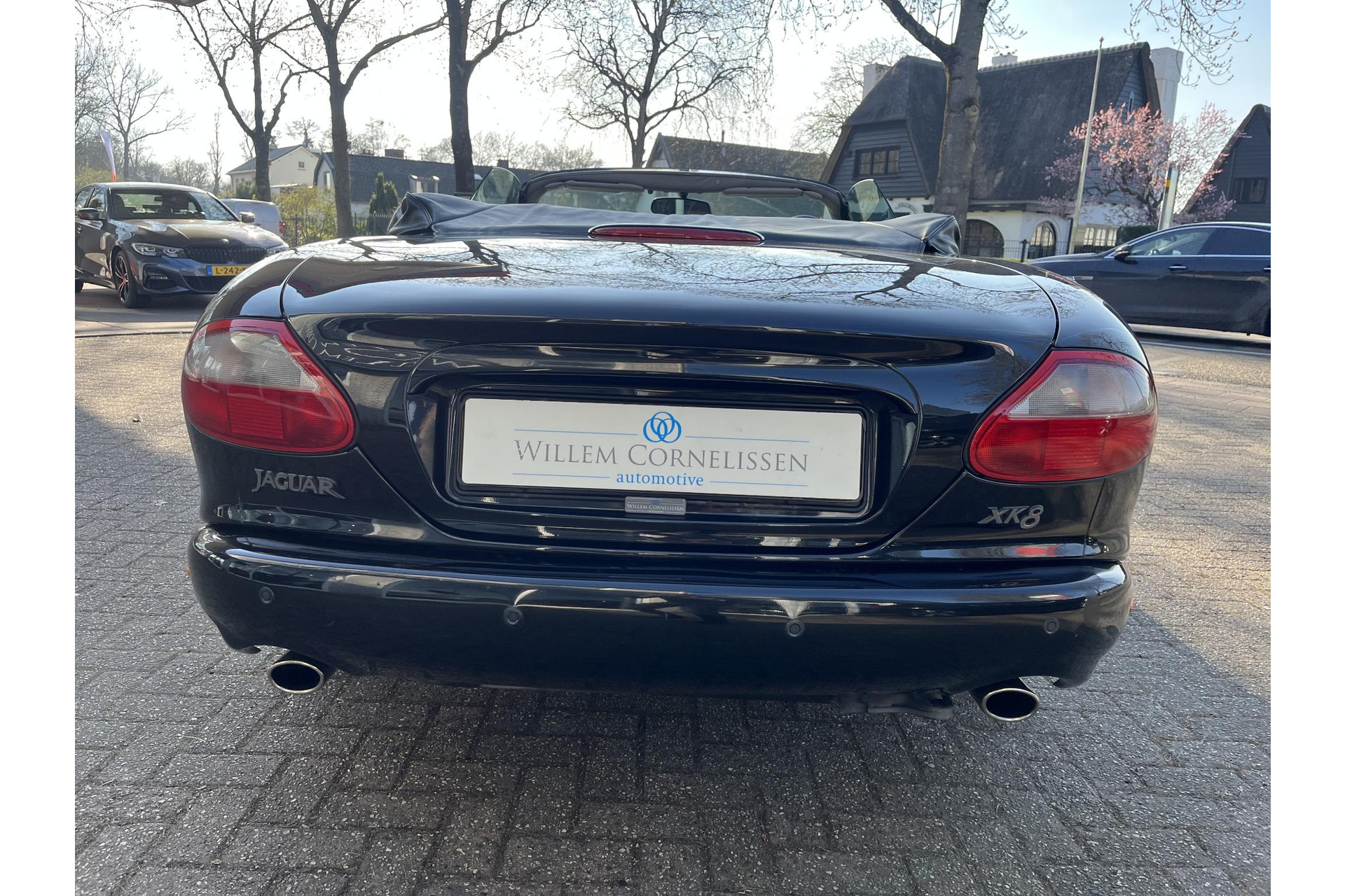 43822482-6.jpg
