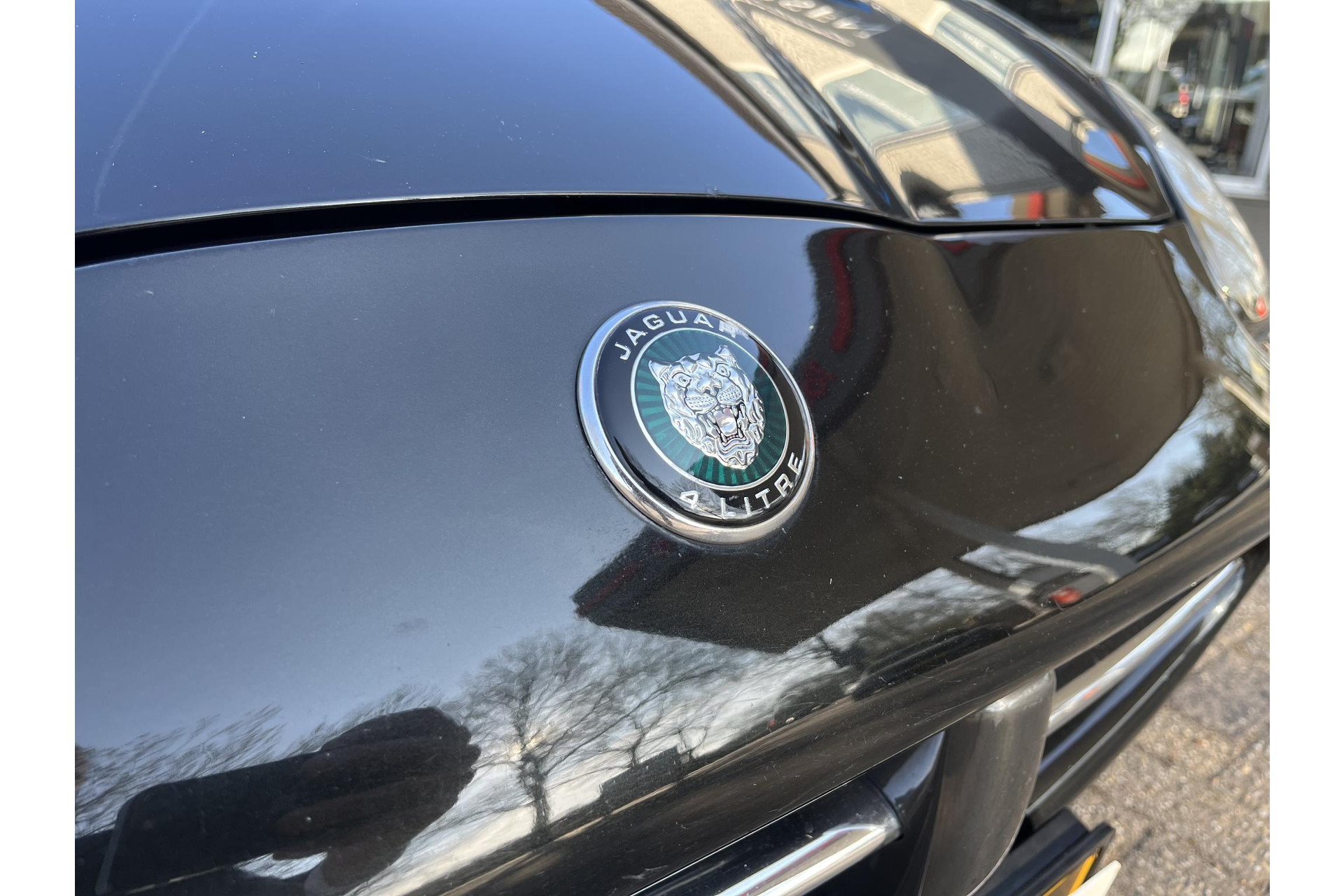 43822482-9.jpg
