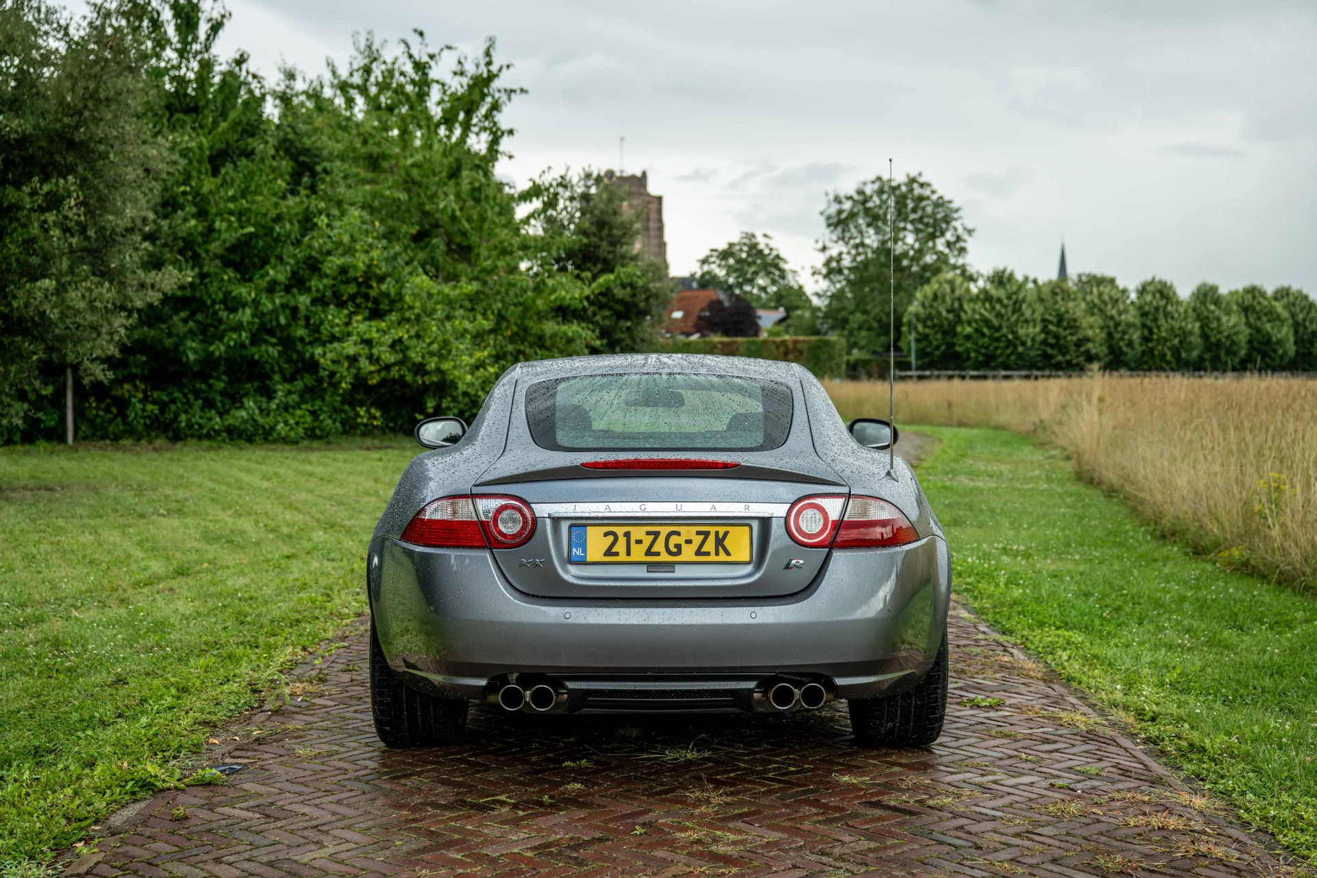 46946946-2.jpg