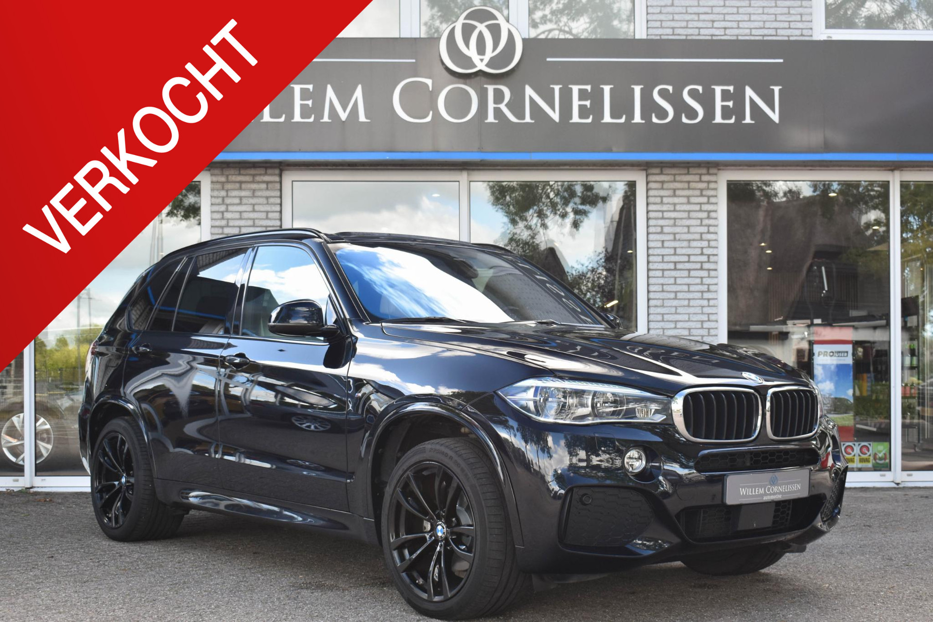 54198588-54.jpg