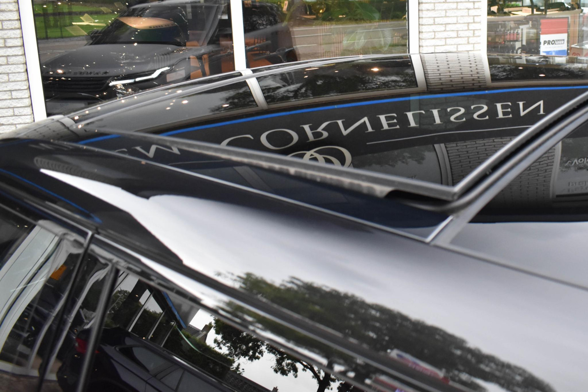 48197528-6.jpg