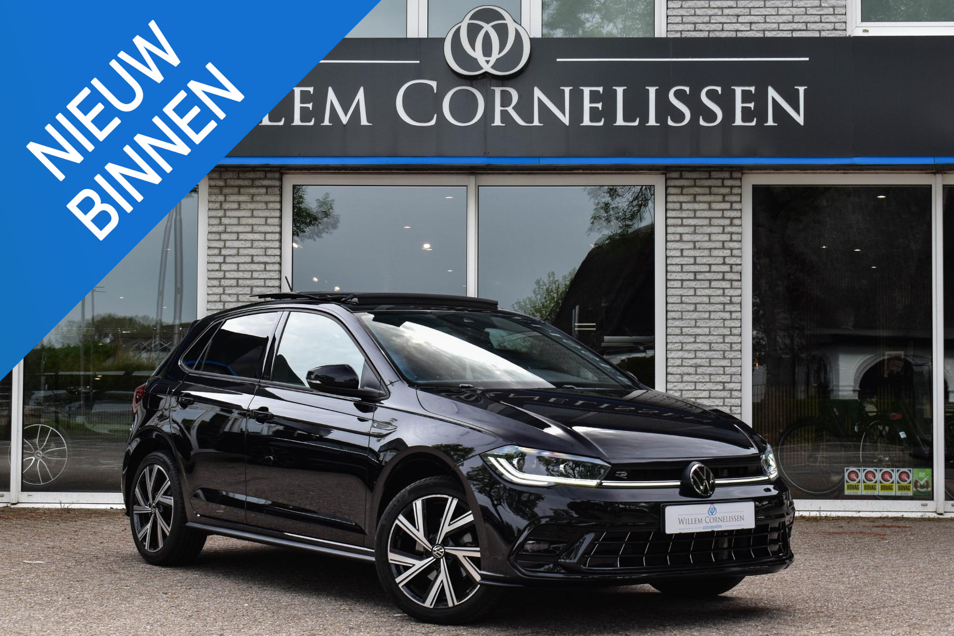 53349296