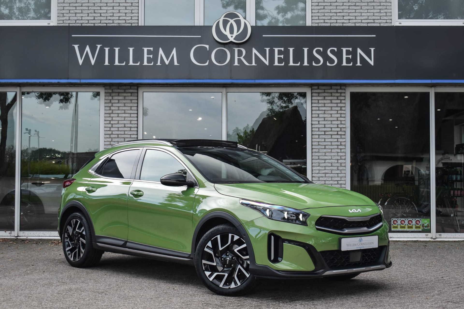 56228474